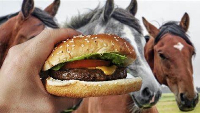 "¿Mamá, el paty relincha?": denuncian robo de caballos para hacer hamburguesas, choris y milanesas